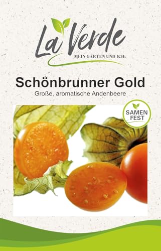 La Verde MEIN GARTEN UND ICH. Schönbrunner Gold Physalis Samen für ca. 30 Pflanzen, Andenbeere, süß-säuerlich fruchtig, Saatgut ohne Gentechnik