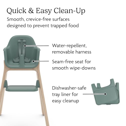 Image of UPPAbaby Ciro V2 High Chair - Easy Clean Adjustable, Grow with Baby - Betsy