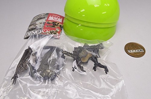 (未使用･未開封品)カプセルQミュージアム 恐竜発掘記6 恐竜全身骨格展示室 ［3.ステゴサウルス(ナチュラルカラー)］(単品) Amazon | カプセルQミュージアム 恐竜発掘記6 恐竜全身骨格展示