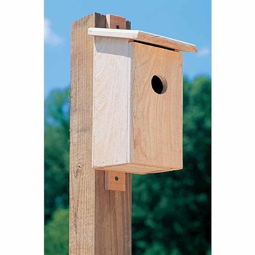 Cypress Blue Bird (Bluebird) Nesting Box