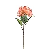 Photo Gallery floristrywarehouse - ramo in pietra semola artificiale per piante grasse, lunghezza 43 cm, colore: pesca Photo Gallery floristrywarehouse - ramo in pietra semola artificiale per piante grasse, lunghezza 43 cm, colore: pesca