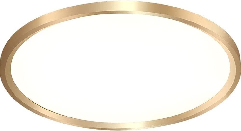 Ultra-Thin Round Ceiling Light Fixture Led Modern Minimalist Ceiling Lamp Living Room Lamp Art Nordic Study Bedroom Light Embedded Installation Flat Panel Lamp(40Cm)/ Color/40Cm