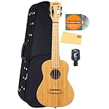 Kala KA-BMB-C Bamboo Concert Ukulele Bundle with Hard Case, Tuner, Austin Bazaar Instructional DVD, and Polishing Cloth