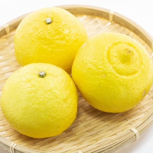 ��s�\�� �͂邩 ���� 2.5kg�i���e�ʖ� 2.3kg�j �G�i �D�i ���� �T�C�Y�~�b�N�X �a�̎R���Y �Y�n�����y�݂���̉�z