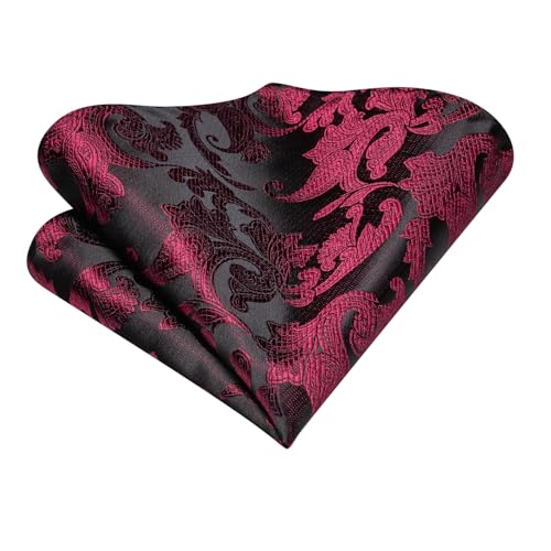 Image of Dubulle Paisley Floral Ascot for Men Self Tie Mens Cravat and Pocket Square Cufflinks Wedding