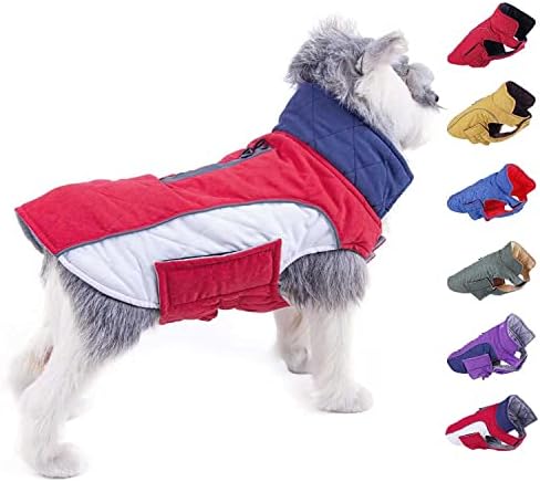 dog parka amazon