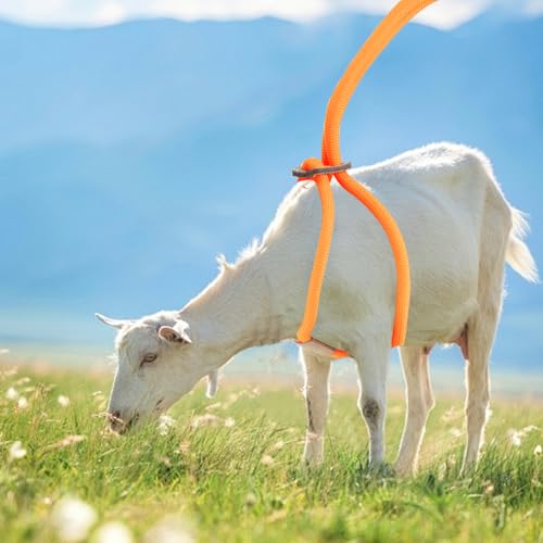 Image of Goat Harness, Adjustable Goat Harness for Walking, Washable Goat Leash, Goat Accessories, Livestock Supplies for Goats and Sheep, Orange