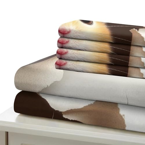 Linge de lit chat ninja 3D housse de couette 220x240 microfibre hypoallergique king