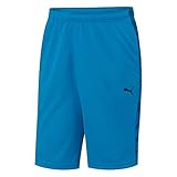 PUMA Men's Formstripe 10-Inch Short