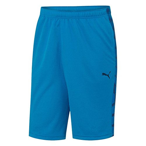 PUMA Men's Formstripe 10-Inch Short