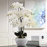 Dahlia Studios Potted Faux Artificial Flowers Arrangements Realistic White Phalaenopsis Orchid in...
