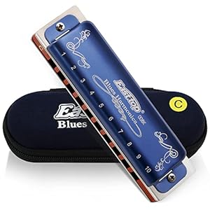 East Top Blues Harmonica in C,10 Holes Blues Harp Mouth Organ Diatonic Harmonica C Key with Blue Case, T008K Standard…