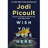 Wish You Were Here: A Novel (English Edition)