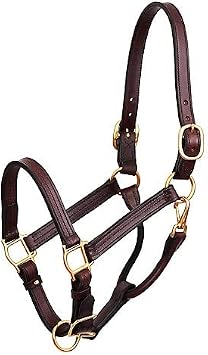Perris Premium 1-Inch Leather Show Halter, Cob