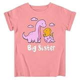 Funnycokid Big Sister Shirts for Girls 4T 3T T-Shirt Pink Size 3 4 Dinosaur Gifts Pregnancy Announcement Toddler Promoted to Short Sleeve 3-4 Years