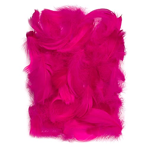 Netuno 150 plumes naturelles rose foncé 10g plumes décoratives d'oiseaux pour loisirs créatifs DIY bricolage décorations de fêtes attrape-rêves fabrication de...
