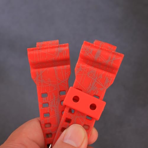 View 5