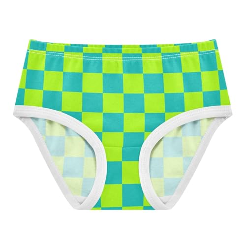 Green and Teal Buffalo Checkered Toddler Girls's Underwear 2T
