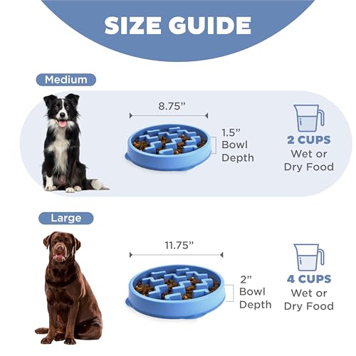 Outward Hound Antischlingnapf Hunde - Slow Feeder Hundenapf, für mehr Fressspaß, langsameres Fressen, beugt Blähungen vor, Rutschfester langlebiger Hunde Wasser- & Futternapf, Größe Mittel (Blau)