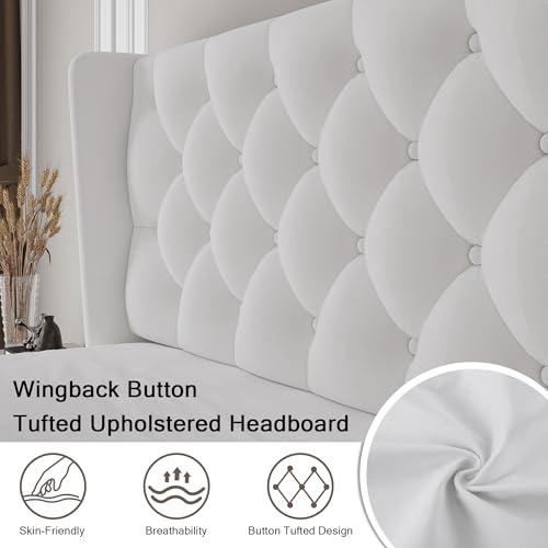Einhomn Queen Size Platform Bed Frame with Velvet Upholstered Wingback Headboard, 10" Under Bed Space, Wooden & Metal Slats Support, No Box Spring Needed, White - Image 3
