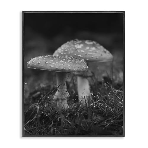 Grey Mushroom Photography Nature, 11 x 14 Inch Framed Giclée Print