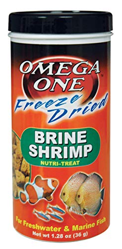 Best Dried Shrimp