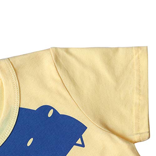 Image of Little Boys Shorts Set Toddler Boys 100% Cotton Summer Short Sleeve T-Shirts and Shorts Clothing Sets 2PCS