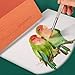 MEEDEN 10X7 Cotton Watercolor Paper Block, Textured Surface Watercolor Paper, Cold Press, 140lb/300gsm, 20 Sheets for Painting & Drawing, Wet, Mixed Media