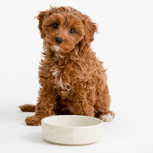 Mason Cash: Embossed Bone Dog Bowl - Cream - 5.9", 17oz - Durable Ceramic Food & Water Dish, Microwave & Dishwasher Safe, Pet Meal Feeding & Hydration by Mason Cash - Image 8