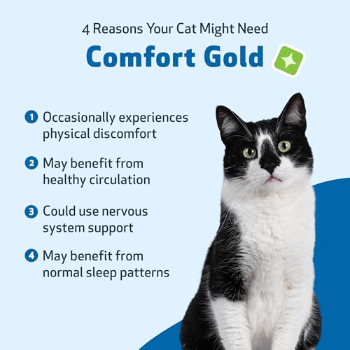 Pet Wellbeing Comfort Gold for Cats - Supports Feline Physical Comfort, Healthy Circulation, Corydalis, Turmeric - Veterinarian-Formulated Herbal Supplement 2 oz (59 ml) - Thumbnail 3