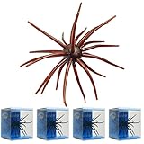 4Pcs Floating Sea Urchin Soft Lure | Tentacle Creature Lure, 4.33' & 3.54' TPR Finesse Baits, 5 Colors, Ideal for Bass Fishing with Drop Shot, Wacky Rig, Neko Rig (E, Large)