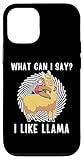 Cute Sloth What Can i Say I Like Llama