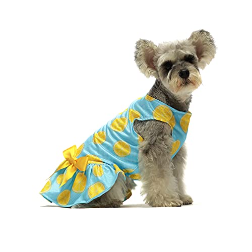 Fitwarm Lemon Summer Dog Dress Puppy Clothes Doggie Sundress Pet Vest Cat Apparel Water Teal Blue Xxs #TOP2