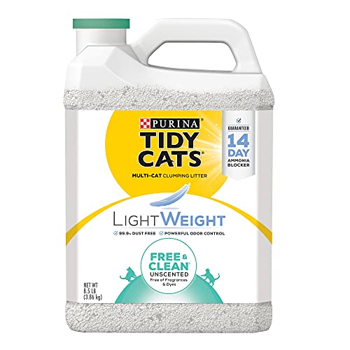 10 Best Tidy Cat Lightweight Cat Litters of 2021 A Comprehensive Review and Buying Guide