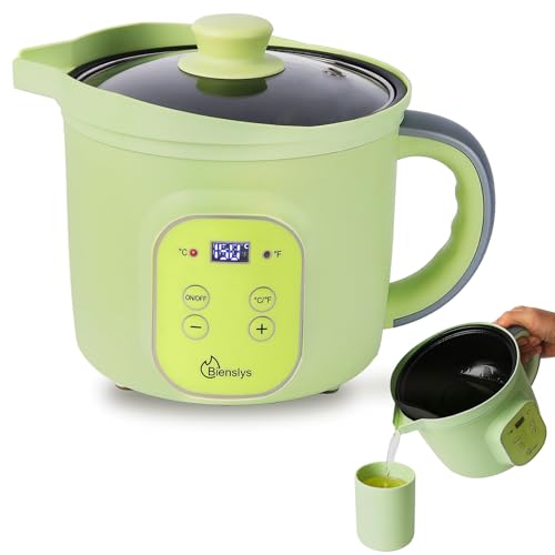 Bienslys Sciogliceera Elettrico 1,5L - Controllo temperatura 30-150°C - Rivestimento antiaderente - Beccuccio antigoccia - Per cera di soia, sapone e fai da te