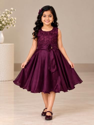 Image of Wish Karo Baby Girls Knee Length Lycra Dress (fe2644clr)