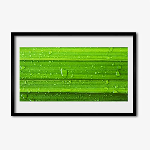 Affiche encadrée 60x40 cm pour murs vides salon chambre Tulup cadre en MDF image de nature