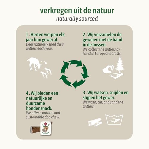 ChronoBalance® XL Kaustange für Hunde ganze Stücke als Kauspielzeug: 100% Hirschgeweih für Hunde, Hundespielzeug, Leckerli Zahnpflege, Kausnack, Geweih Kauknochen, Natürlich ohne Zusätze (1er Set)