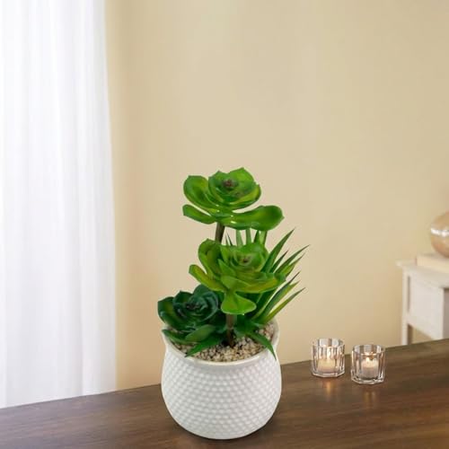 Image of Artificial Succulent Plant in White Ceramic Pot, Realistic Faux Greenery for Home Office Desk Tabletop Decor, Low Maintenance Long-Lasting Indoor Decorative Plant (A)