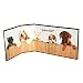 PetSafe Piddle Place Dog Potty Protective Guard, Great Job