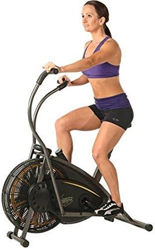 Stamina Exercise Bike Stationary Upright Fitness Bicycle Air Resistance Cardio