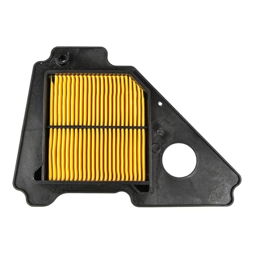Filtre d'admission d'air moto YBR125 pour vos trajets et trajets urbains