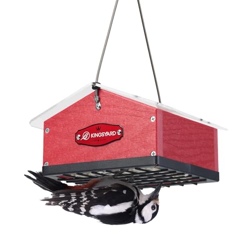 Kingsyard Upgraded Upside Down Double Suet Feeder for Outside Hanging, Squirrel-Proof Metal Edging, Wild Bird Feeder with Metal Weatherproof Roof, Attracting Woodpeckers, Nuthatches, Titmouse