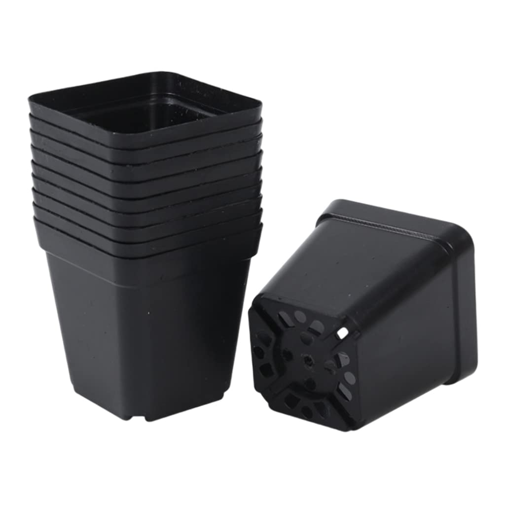 Bemonew Plastic Plant Pot Square Nursery Pots Flower Planter Container for Fruit Vegetable Black 50Pcs 2.17 Inch