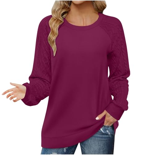 Jerséis para Mujer Sudaderas Tops de Manga Larga Cuello Redondo Suéter Ligero Camisetas de Manga Larga Informal Suaves Túnicas Pullover para Otoño Invierno