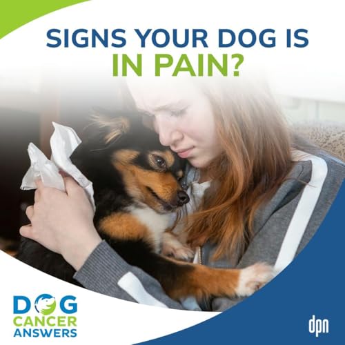 Signs Your Dog Is in Pain | Dr. Demian Dressler #112 Podcast Por  arte de portada