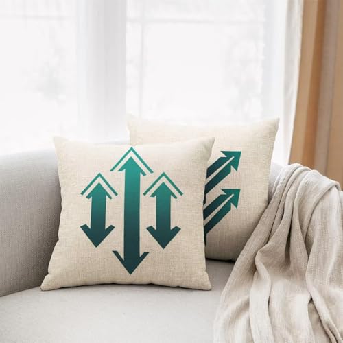 Housse de coussin pour coussin canapé et salon de jardin chic