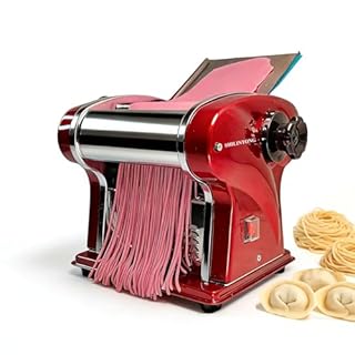 Macchina per Pasta Elettrica SHILINTONG - Macchina per Fare la Pasta Fresca con Doppia Lama in Acciaio Inossidabile - 1.5mm (Tonda) e 4mm (Piatta) - Per Uso Domestico e Commerciale