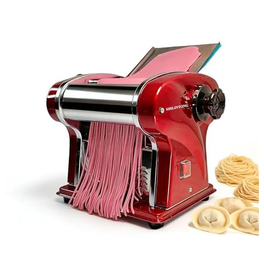 Electric Pasta Maker Household Noodle Machine for Homemade 2.5mm Noodle Linguine Dumpling Wonton Skin, Press 0.3-4mm Thick 14cm Wide Dough Output 5Kg/H