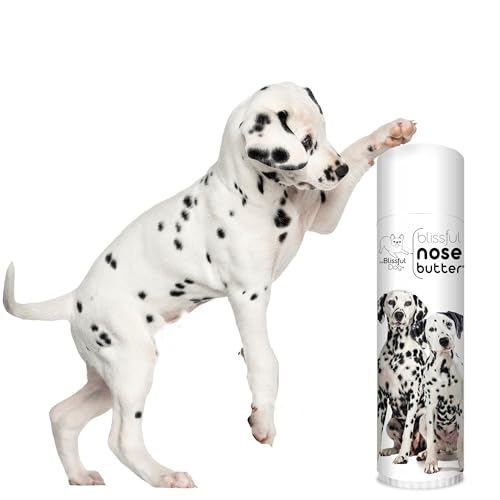 Image of The Blissful Dog Dalmatian Unscented Nose Butter, 0.50-Ounce